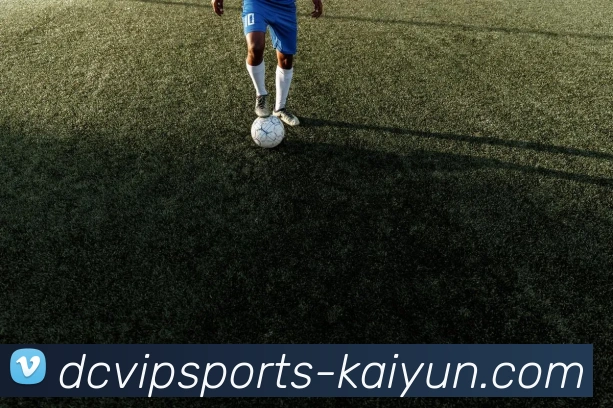 AI Risk Control
